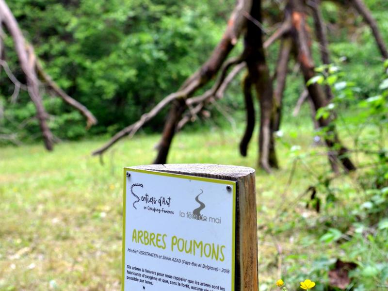 Arbres poumons