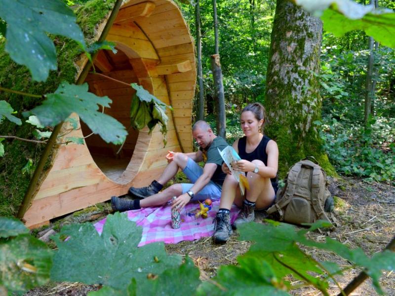 Abri Tortvak à Schaltin (Hamois)