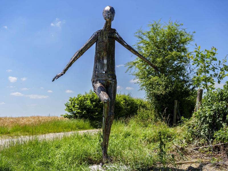 Natuurlijke staat