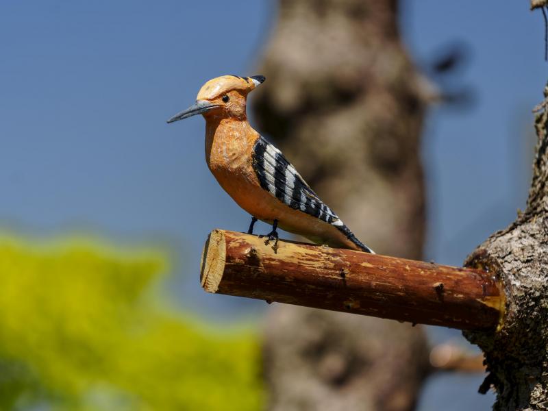 Vogelconcert